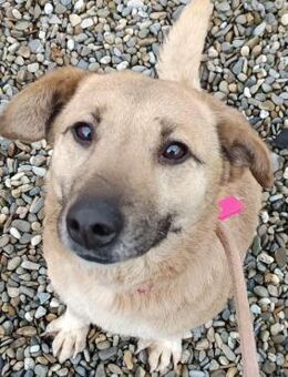 Powerkugel Shirley - Itzehoe