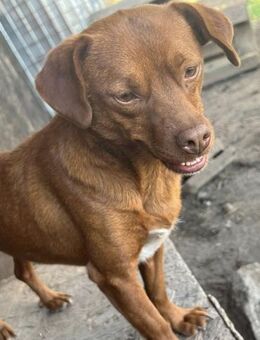 Mandy wartet in Heiligenstadt (Bayern)! - Weiterstadt