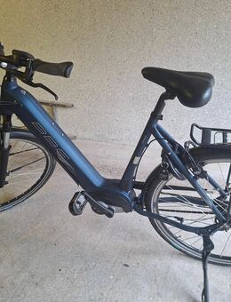 BBF Ebike Granada 28 Zoll - Rees