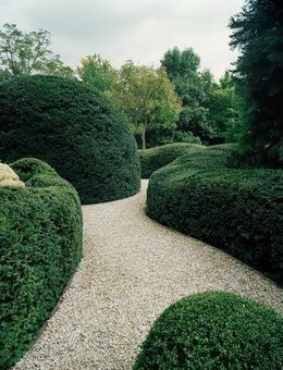 Gartenarbeiten, Grabpflege, Heckenschnitt - Kalkar
