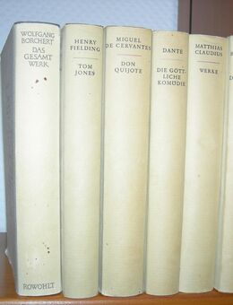 WELTLITERATUR Bücher privat günstig zu verkaufen - Neunkirchen (Nordrhein-Westfalen)