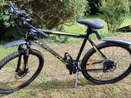 Fahrrad Mountainbike Rockville sehr guter Zustand - Altenkirchen (Westerwald)