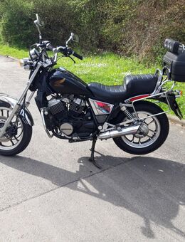 Honda VT 500 C PC 08 - Bonn