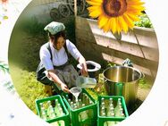 Harmonische Kräuteröl Massagen im Sonnenfenster Simonswald. - Simonswald
