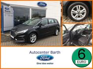 Ford S-Max, 2.0 EcoBlue Titanium, Jahr 2019 - Grimmen