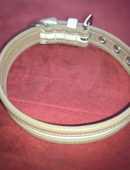 Hunde Halsband von Hunter - Größe M aus Leder... - Schwaan