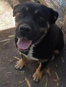 TRUDY 💜💜💜 gutherzig und dankbar - Bad Karlshafen