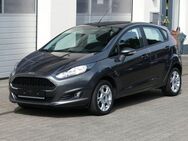 Ford Fiesta Trend - Ehrenberg (Rhön)