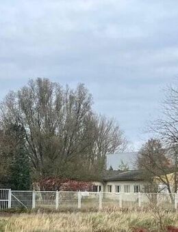 außergewöhnliche Wohn- oder Gewerbefläche in der Stadt Genthin - Genthin