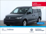 VW Caddy, Maxi TDI, Jahr 2023 - Wildau