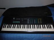 Bontempi PM 61 elektrisches Keyboard - Oberderdingen