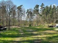 Schönes Waldgrundstück wartet auf Bauherrn mit Liebe zur Natur - Jelmstorf