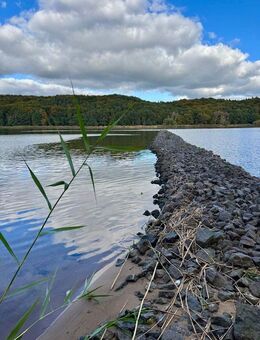 Traumhafte Haushälfte an der Elbe von Privat* Neubau* - Tespe