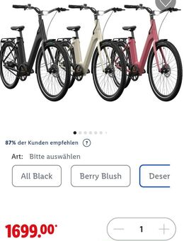 E-Bike Urban Y.3 Gates Riemenantrieb 27,5 Zoll - Traunreut