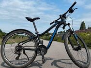 Mountainbike Haibike Seet Hardseven 1.5 - Hamburg