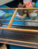 Meerschweinchenstall in 73252