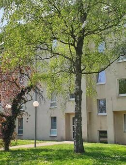 2-Zimmer-Wohnung in Dortmund - Dortmund