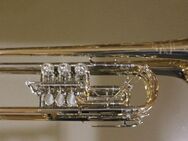 J. Scherzer Konzert - Trompete 8228-L mit Doppeltrigger und Überblasklappe, Neuware - Hagenburg
