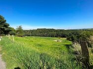 RUHIGES BAUGRUNDSTÜCK MIT BLICK - Bannewitz