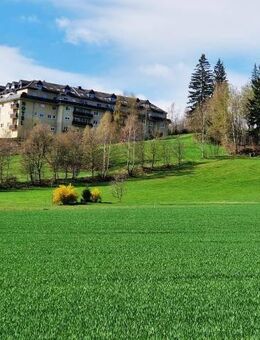 Sonnige 2-Zimmerwohnung mit Balkon in Superlage - Schwarzenberg (Erzgebirge)