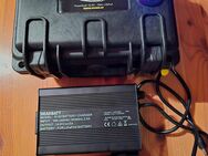 Powerbank Rigbee 12.8V 18AH LifePo4 - Gartow