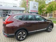 Honda CR-V, 1.5 i-VTEC Turbo Comfort, Jahr 2019 - Naumburg (Saale)