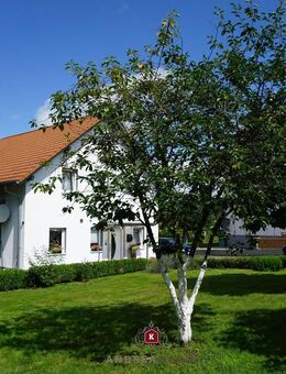 *Gem. Zachenberg* Idyllisch gelegenes EFH mit großem Grundstück in Orts- und Wiesenrandlage - Zachenberg