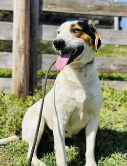 ILUBANi 😍 ist dein Stern - Mylau