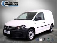 VW Caddy 2.0 TDI Kasten - Brandis