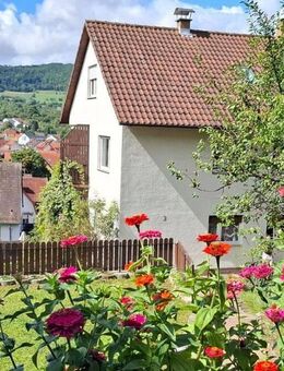 Ein Juwel- Tolles Mehrfamilienhaus in wunderschöner Lage ! - Neuffen