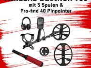Minelab Equinox 900 Metalldetekor mit 3 Spulen & Pro-Find 40 - Leer (Ostfriesland)