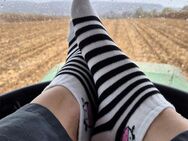 Josi's Socken vom Land *White Cow* - Peine Zentrum