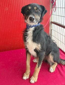 ❤️ MILLI wünscht sich ein Nest ❤️ - Mamming