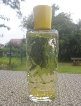 " skinny dip " Lemon Cologne - Leeming Division Pfizer inc . - Lehrte