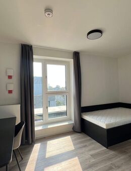Modernes Studenten-Apartment zur Miete im COZY Hamburg - Wentzel Dr. - Hamburg