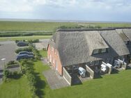 Ferienhaus unter Reet direkt am Nordseedeich - Nordstrand