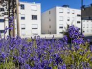 Mietwohnung aus gefördertem Wohnraum (Berechtigungsschein notwendig) - Trier