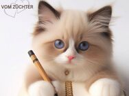 Ragdoll Kitten Buch - Katzentagebuch - Das Tagebuch einer Katze, Geschenk für Ragdollkatzen Liebhaber, Zubehör, Kitten Erstausstattung: ... ganze Familie, Platz für Bilder / Fotos,Cat Taschenbuch - Spremberg