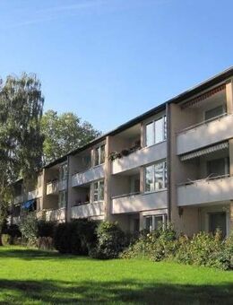 Etwas besonderes: individuelle 3-Zimmer-Wohnung - Bonn