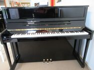 Schimmel C 122 KE schwarz poliert Gebrauchtklavier m. Garantie - Nideggen