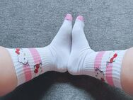 Getragene Slips / Socken - Zeven