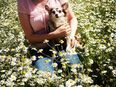 Lustige gesunde Chihuahua Hündin frisch 7J. 5kg 25cm m. Papieren geimpft/gechipt Langhaar Familienhund in 63633
