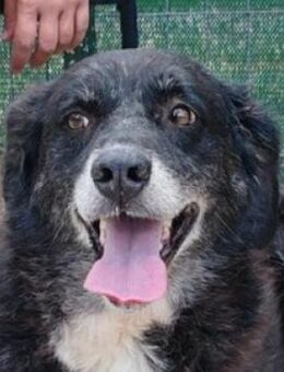 SCARLET ist immer freundlich - Hof