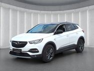 Opel Grandland X 2020 1.2Turbo*Autom LED R-Kam Navi - Ruhstorf (Rott)