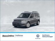 VW Caddy, 2.0 TDI Life APP, Jahr 2024 - Ulm