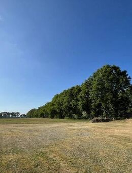 41000 qm für die Pferde ( Pacht ) und 1300 qm für das Haus :-) Kapitänshaus in Massivbauweise mit Traumblick in Lüttenmark inkl. Baugrundstück :-) - Greven (Mecklenburg-Vorpommern)