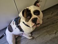 OEB sucht ein Liebes Heim - Münchenbernsdorf