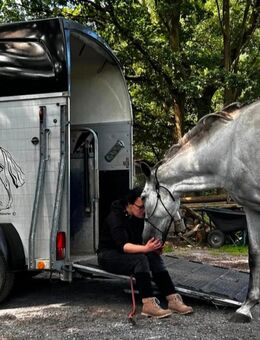 Pferdetraining Bodenarbeit Verladetraining Gelassenheitstraining Problempferde Horsemanship - Herzlake