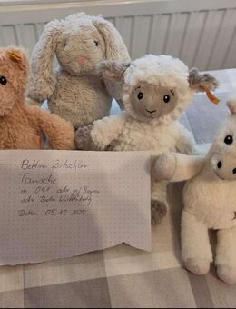 Verkaufe Steiff Tonie Bär, Einhorn, Hase, Lamm uvm - Leipzig Zentrum