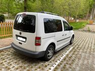 VW Caddy 1.6TDI Kombi Startline AC Alu AHK Standh.5 Sitze - Heringsdorf (Mecklenburg-Vorpommern)